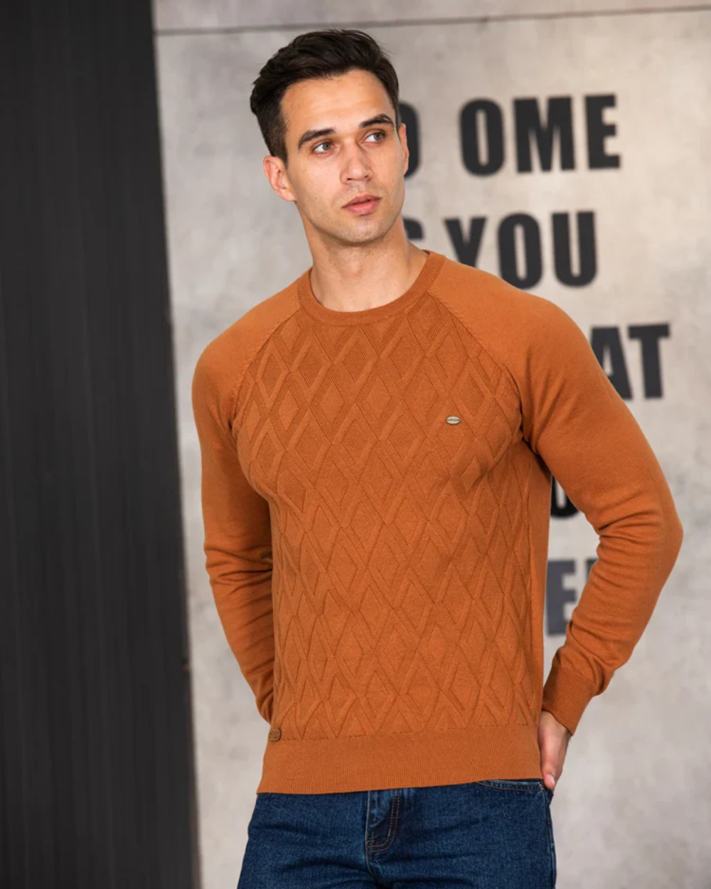 Maglione da uomo con motivo a quadri V2